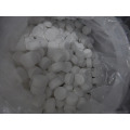 SDIC Water Treatment Chemicals CAS No. 2893-78-9 Sodium Dichloroisocyanurate